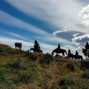 Cabalgata Pingo Salvaje